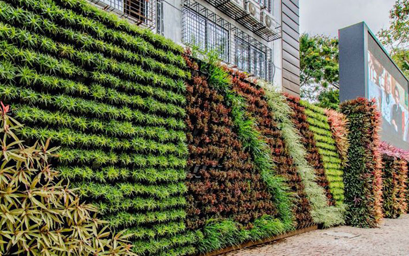 Best Vertical Garden Services In Mumbai, Maharashtra